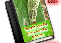 "Remedii naturiste pentru o grădină ecologică"