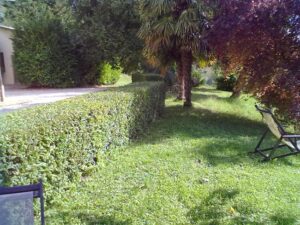 servicii intretinere gradini Botosani