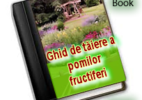 Ghid complet de tăiere a pomilor fructiferi